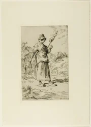 The Spinner