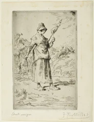The Spinner
