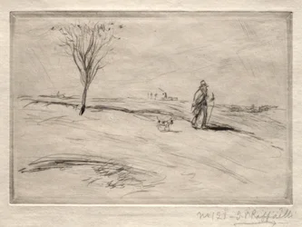 The Camel