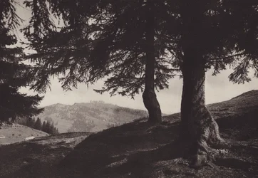 Rigi Staffel, Walking path near Staffel