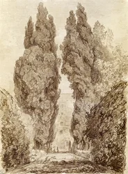 Large Cypresses at the Villa d