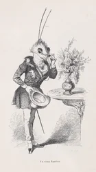 An Old Butterfly from Scenes from the Private and Public Life of Animals