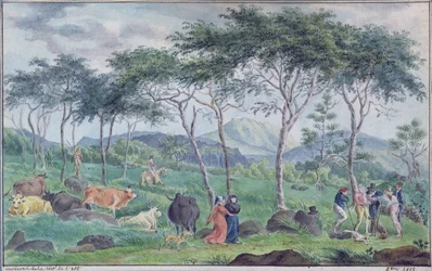 Herd of cattle with cowherds near the river on the east of the Ile de la Reunion, October 1812