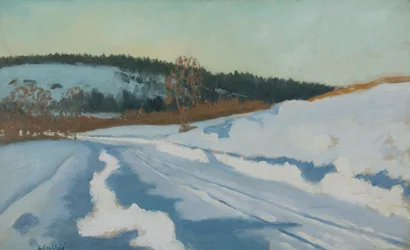 Snow in Sunshine