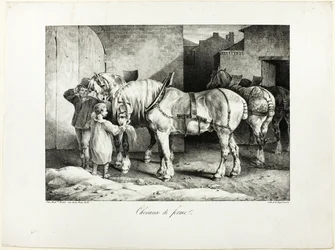 Farm Horses