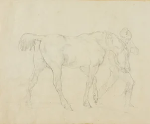 Groom Leading a Horse