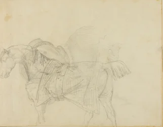 Horse Wearing a Blanket