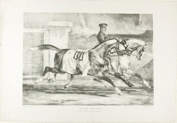 Horses Exercising, plate 6 from Various Subjects Drawn from Life on Stone