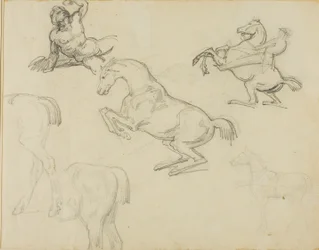 Sketches: Reclining Nude, a Horseman and Various Horses