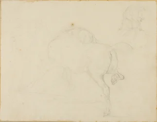 Study of a Horse Turning Its Head and Raising Its Hind Leg