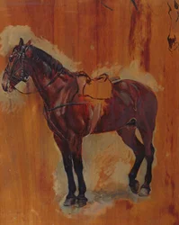 Study of a Horse