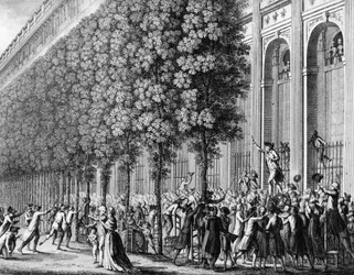 French Revolution: Motion Made at the Royal Palace by Camille Desmoulins