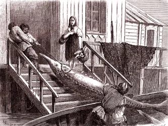 Fishing the Sturgeon on the Volga River, Russia (1867)
