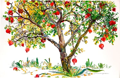 Pomegranate Tree, Monte Sereno