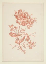 Untitled (Ideal Flowers)