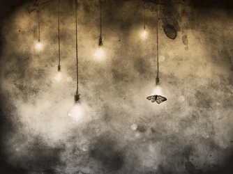 Moth And Glowing Bulbs