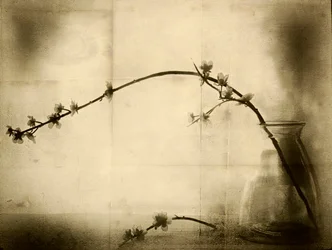 Sepia Floral Still Life