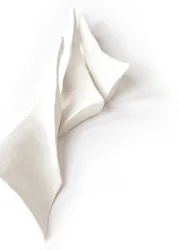 Flowing White Forms