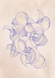 Fluid Organic Lines