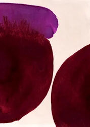 Organic Purple Washes
