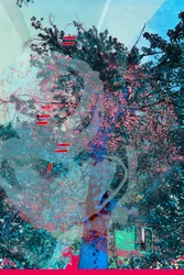 Vibrant Dream Forest