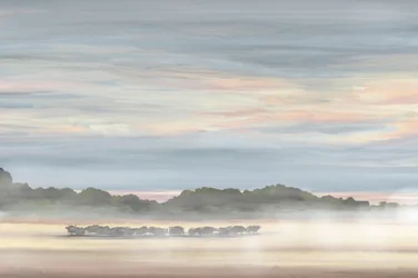 Misty Morning Landscape