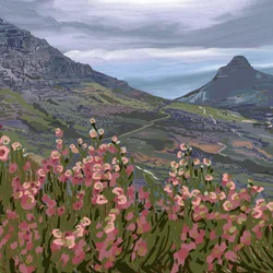 Pink Flowers Mountain View
