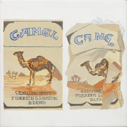 Camel Cigarette packs