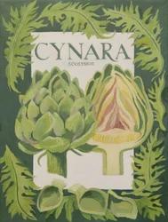 Cynara (globe artichoke)