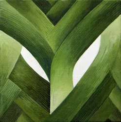 Leeks, 2013
