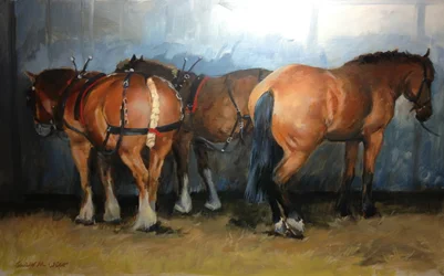Horses - Heavy Horses - Chertsey Show, 2012