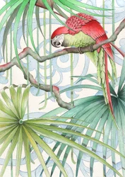 Parrot