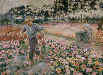 The Begonias (The Gardener)