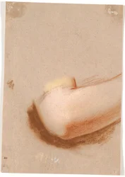 Study of a Woman