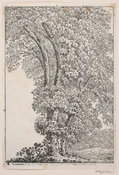 Illustration for Oehlenschläger