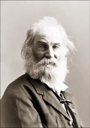Portrait of Walt Whitman by Gurney Between 1880 and 1890
