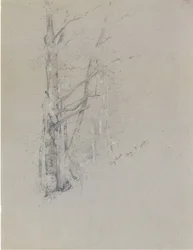 Dry Brook
