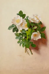 June (from a series of twelve)