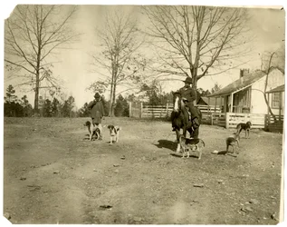 Man on horseback