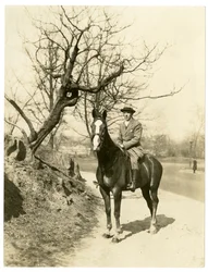 Roland Young, c.1905-27