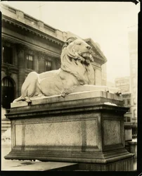 The Haughty Lion in Front of the Library, He Understands Gertrude Steinish, New York, USA, c.1905-40