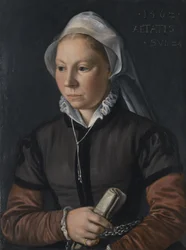 Portrait of a Young Woman