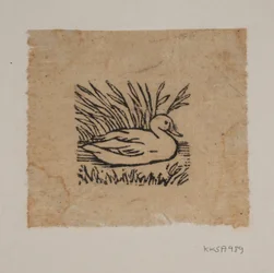 A Duck