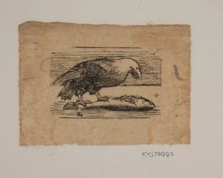 An Eagle