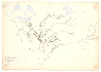 Branch Studies. Classens Garden