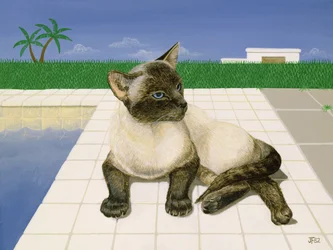Siamese Cat by a Swimming Pool
