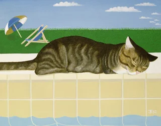 Tabby Cat by a Pool