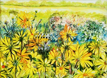 Cottage Gate seen through Sun Daisies, 2005