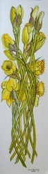 Daffodils, 2008