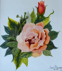Pink Rose and Bud, 1986
